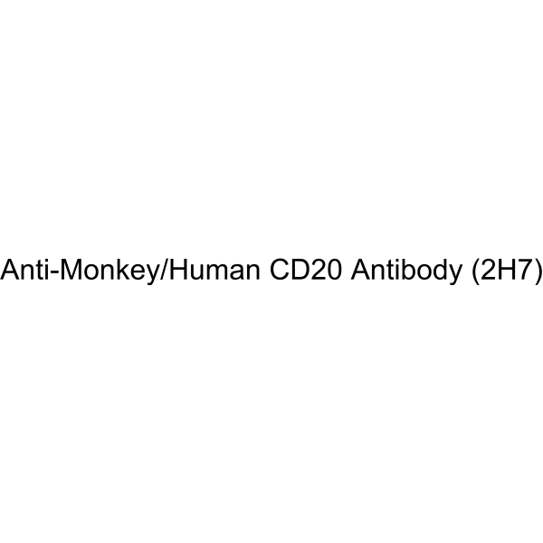 Anti-Monkey/Human CD20 Antibody (2H7)