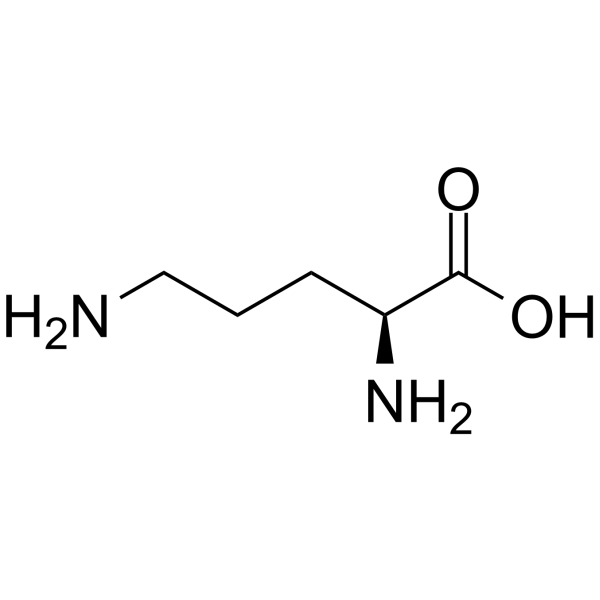 L-Ornithine