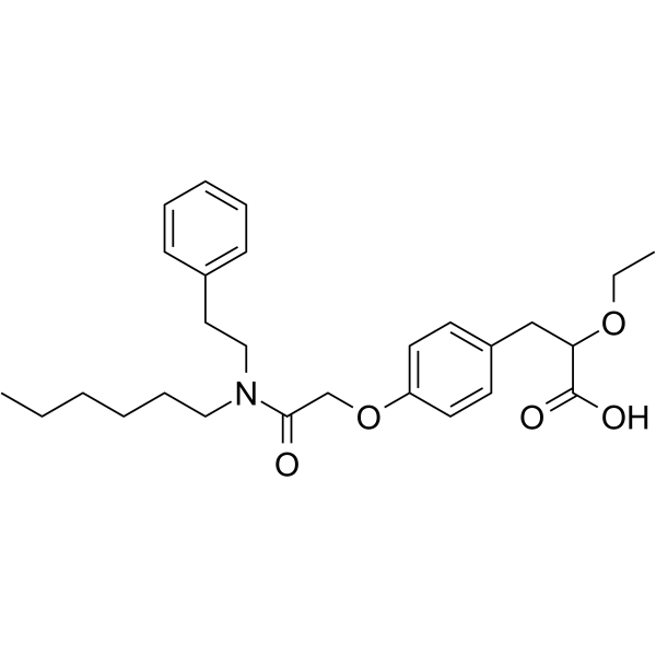 PPARα-MO-1
