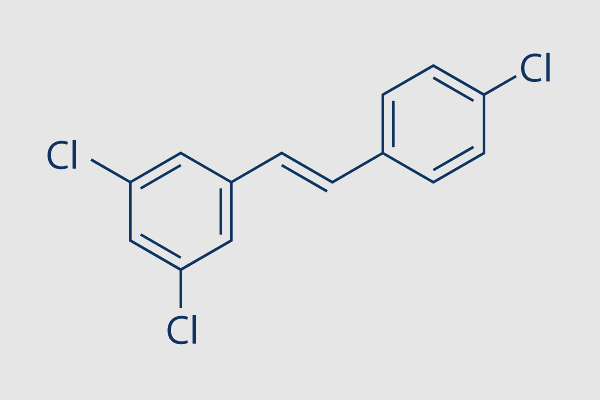 PDM2