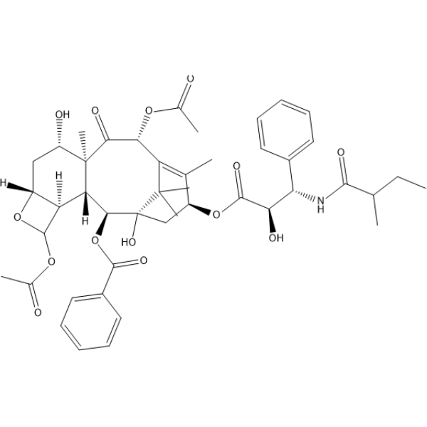 Dihydrocephalomannine