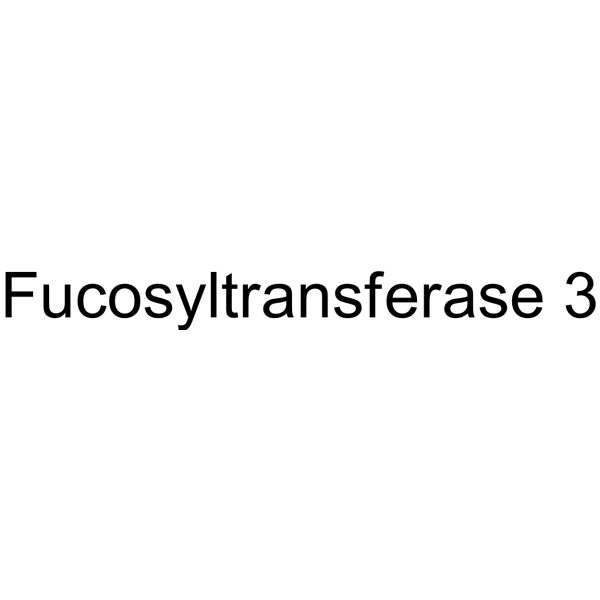 Fucosyltransferase 3