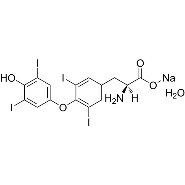 L-Thyroxine sodium xhydrate (Standard)