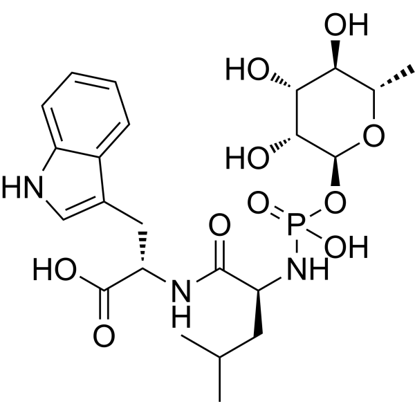 Phosphoramidon