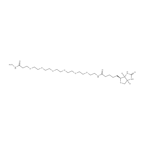 Biotin-PEG6-hydrazide