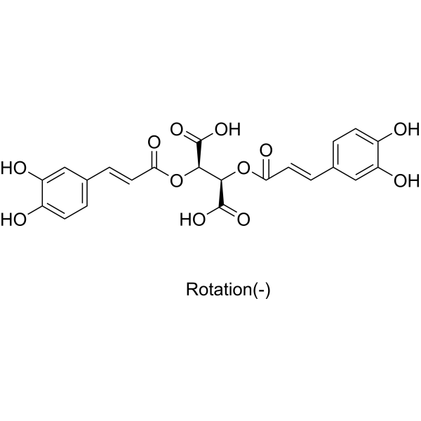 L-Chicoric Acid (Standard)