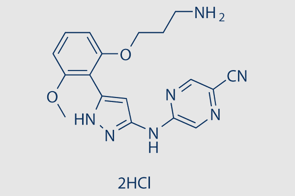 Prexasertib HCl (LY2606368)