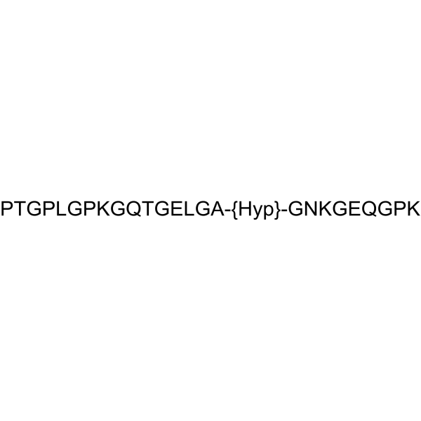 Collagen Type II Fragment