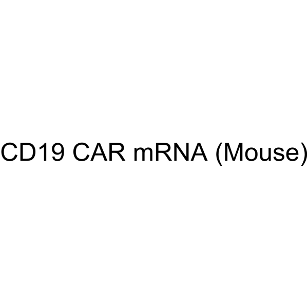 CD19 CAR mRNA (Mouse)