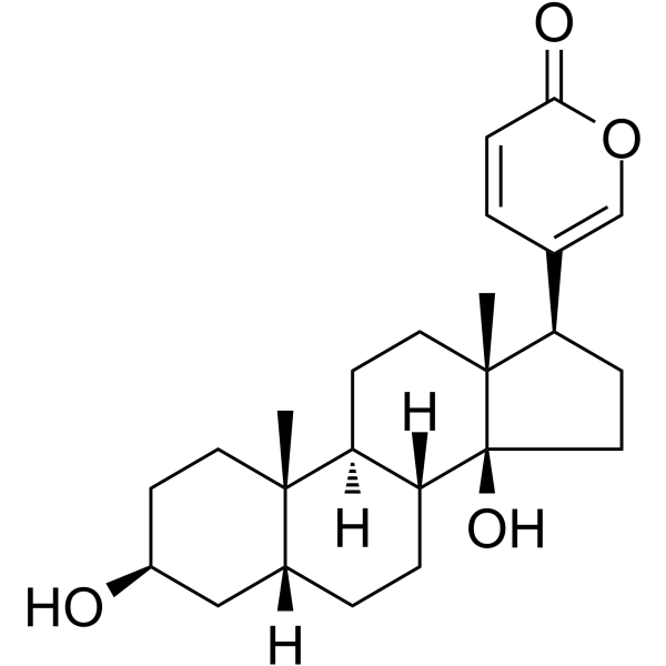 Bufalin