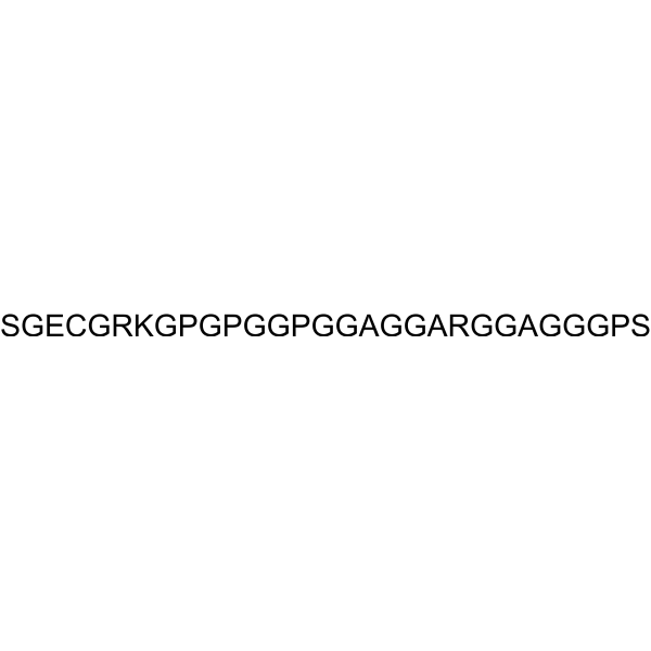 Neurogranin (48-76), mouse