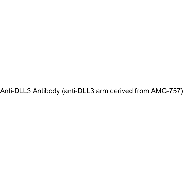 Anti-DLL3 Antibody (anti-DLL3 arm derived from AMG-757)