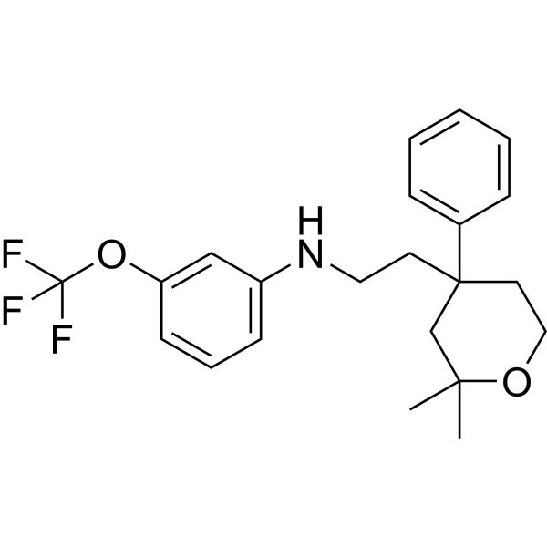 ICMT-IN-55