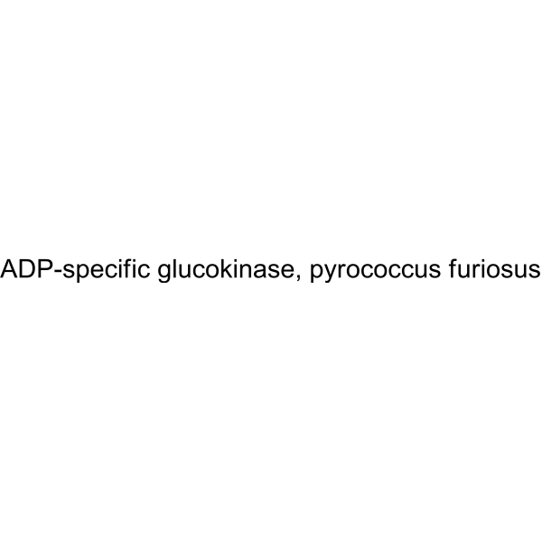 ADP-specific glucokinase, pyrococcus furiosus