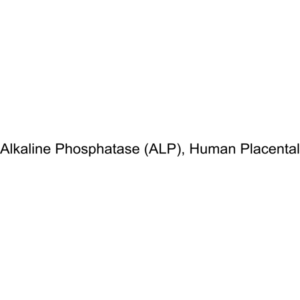 α-Amylase, Porcine Pancreatic