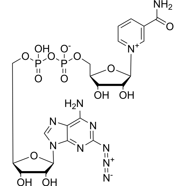 2-Azido-NAD