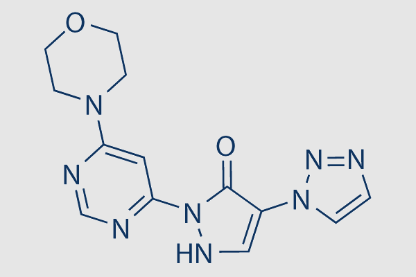 Molidustat (BAY 85-3934)