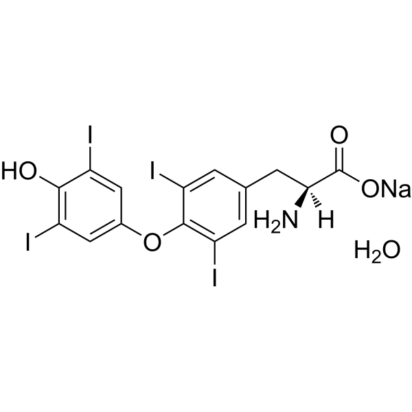 L-Thyroxine sodium xhydrate