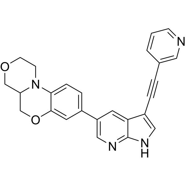 SARS-CoV-2-IN-81
