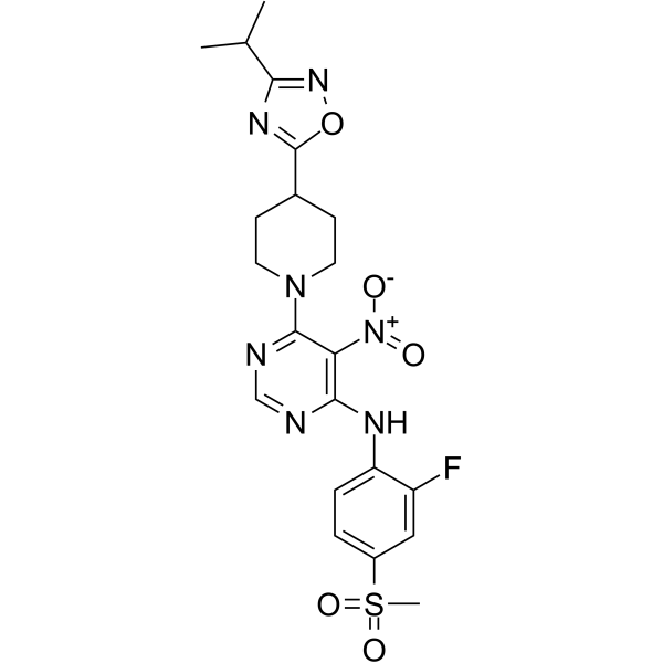 AR231453