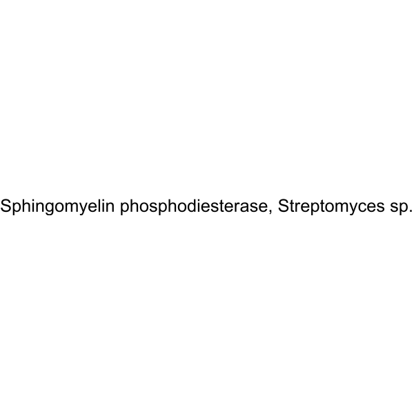 Sphingomyelin phosphodiesterase, Streptomyces sp.