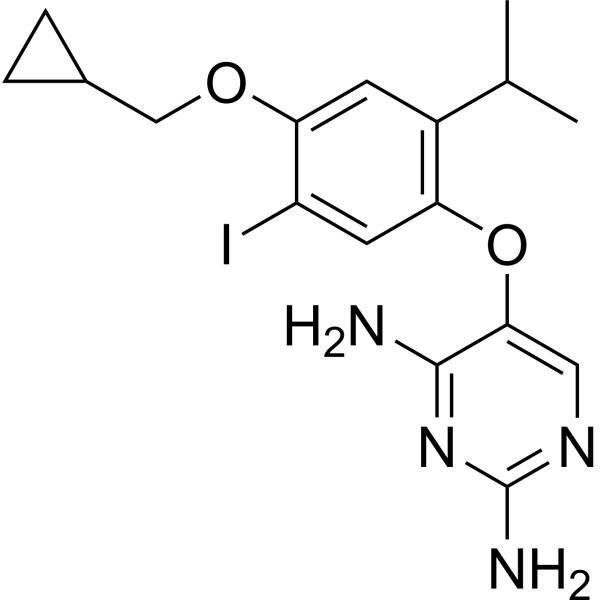 DHFR-IN-17