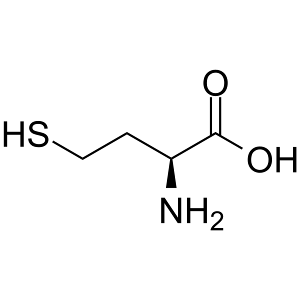 L-Homocysteine