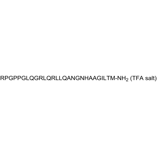 Orexin B, rat, mouse TFA