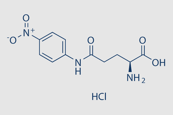 GPNA (L-γ-Glutamyl-p-nitroanilide)