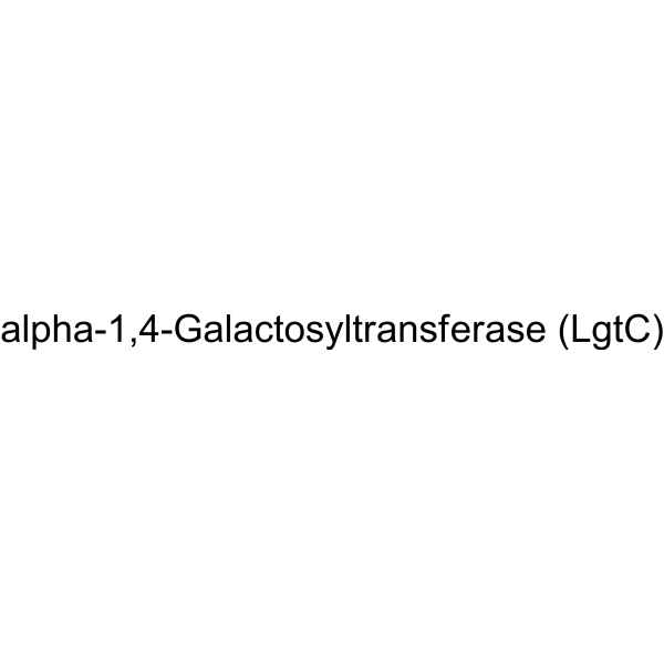 alpha-1,4-Galactosyltransferase (LgtC)