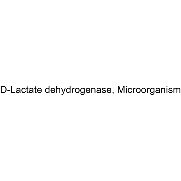D-Lactate dehydrogenase, Microorganism