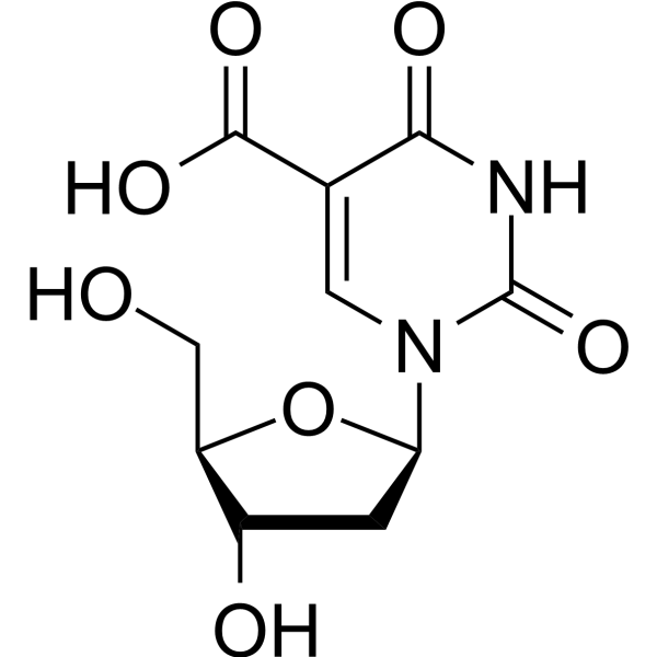 5-Carboxy-2′-deoxyuridine