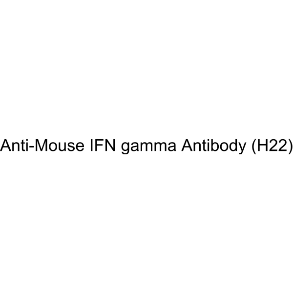 Anti-Mouse IFN gamma Antibody (H22)