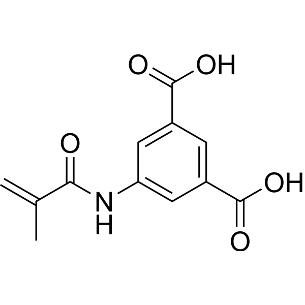 MS15203