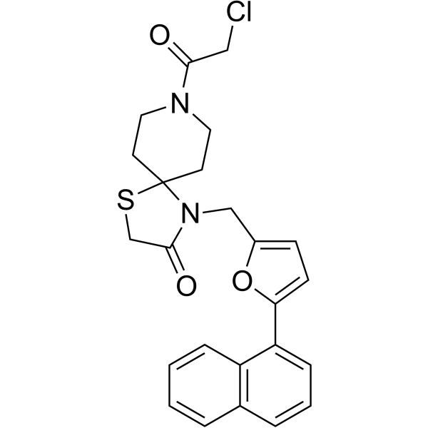 ZL-Pin13