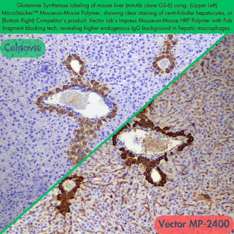 MicroStacker™ Mouse-on-Mouse HRP Polymer