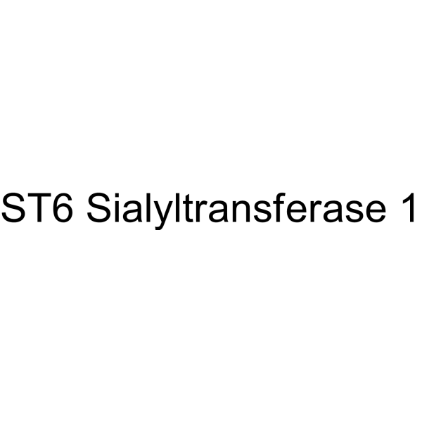 ST6 Sialyltransferase 1