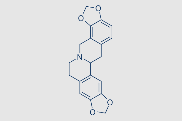 Stylopine