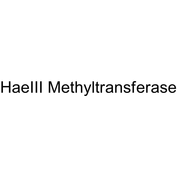 HaeIII Methyltransferase