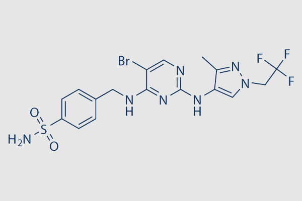 GSK8612