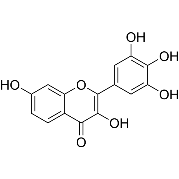 Robinetin (Standard)
