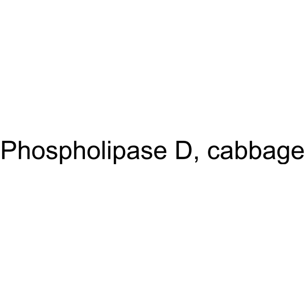 Phospholipase D, cabbage