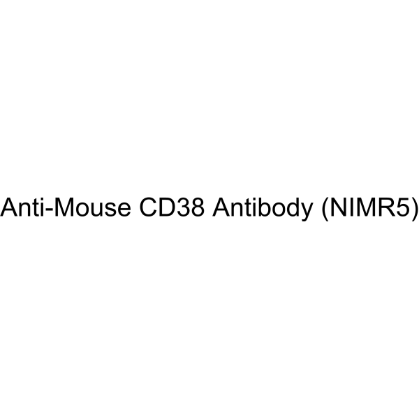Anti-Mouse CD38 Antibody (NIMR5)