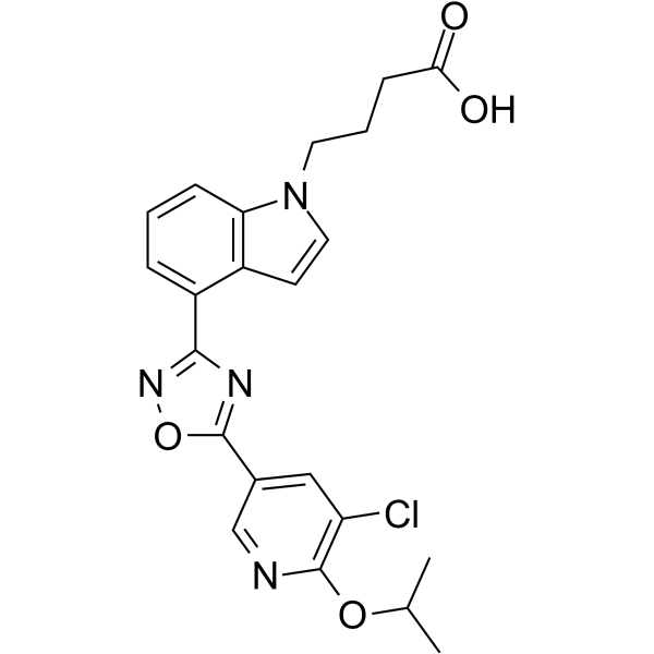 GSK2018682